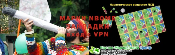 мет Алексин