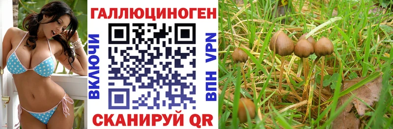 сколько стоит гидра как войти Псилоцибиновые грибы прущие грибы площадка клад Орехово-Зуево